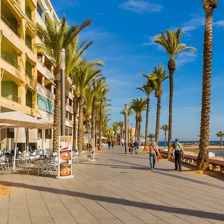 Alegria Id18 Torrevieja